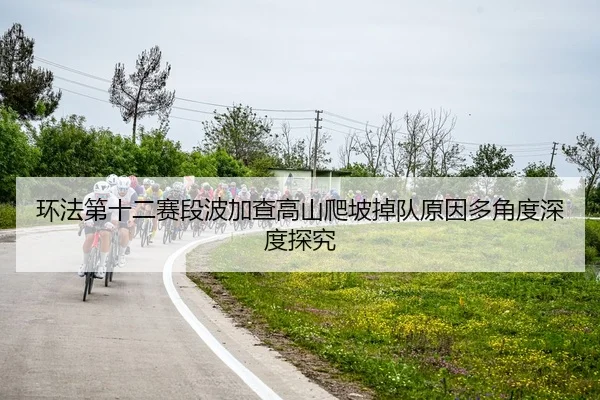 环法第十二赛段波加查高山爬坡掉队原因多角度深度探究